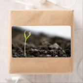 Groeikiemgroenten Etiket (Insitu)