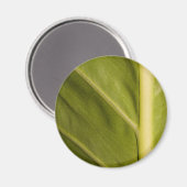 Groen 01 magneet (Voorkant / Achterkant)