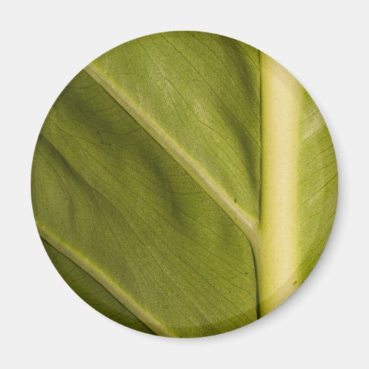 Groen 01 magneet (Voorkant)