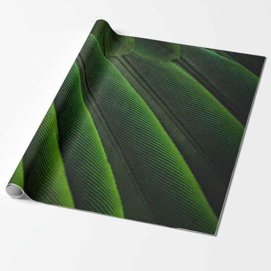 Groen 3D-behang Cadeaupapier (Uitgerold)
