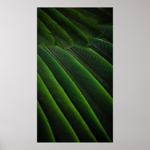 Groen 3D-behang Poster