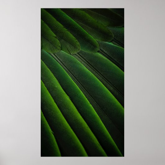 Groen 3D-behang Poster (Voorkant)