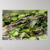 Groen Abstract met Gold en zwart Poster (Voorkant)