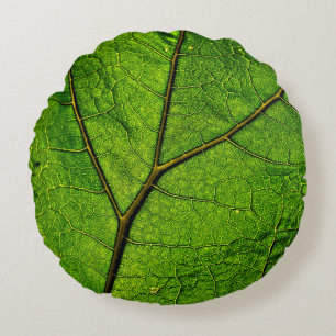 Groen aderpatroon van het blad van de hoefblad rond kussen