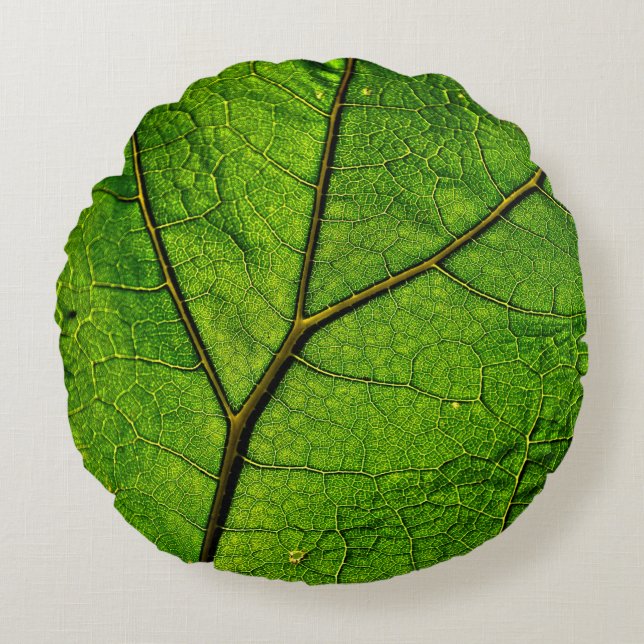Groen aderpatroon van het blad van de hoefblad rond kussen (Voorkant)