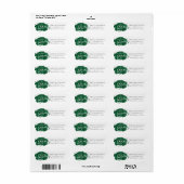 Groen Afstuderen | Modern Paint Afstudeerder Adres Etiket (Full Sheet)