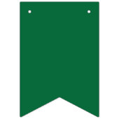 groen, azuurblauw, aqua, elektrisch blauw, doopvon vlaggetjes (Tweede vlag)