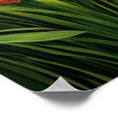 Groen bamboebos poster (Hoek)