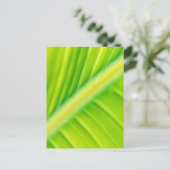 groen bananenblad briefkaart (Staand voorkant)