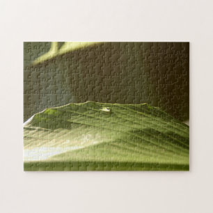 Groen bananenblad met waterdruppelkleurige foto legpuzzel