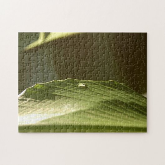 Groen bananenblad met waterdruppelkleurige foto legpuzzel (Horizontaal)