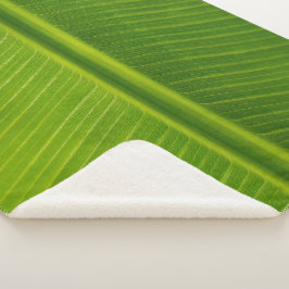 Groen bananenblad, vers sherpa deken