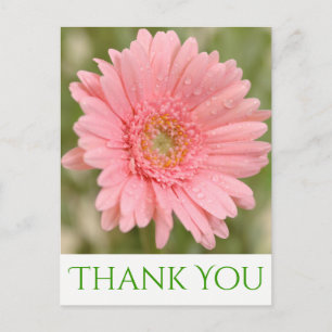Groen Bedankt Pink Gerbera Daisy Flower Briefkaart