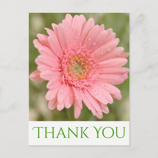 Groen Bedankt Pink Gerbera Daisy Flower Briefkaart (Voorkant)