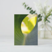 Groen blad briefkaart (Staand voorkant)