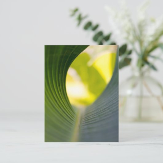 Groen blad briefkaart (Staand voorkant)