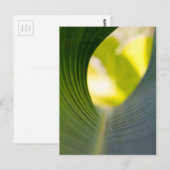 Groen blad briefkaart (Voorkant / Achterkant)