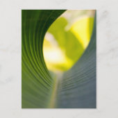 Groen blad briefkaart (Voorkant)