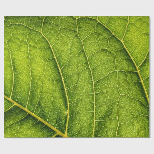 Groen blad cadeaupapier (Vlak)