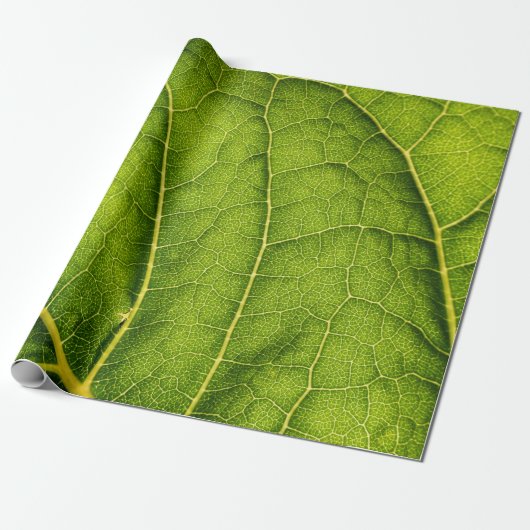 Groen blad cadeaupapier (Uitgerold)