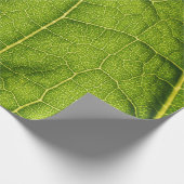 Groen blad cadeaupapier (Hoek)