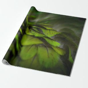 Groen blad cadeaupapier