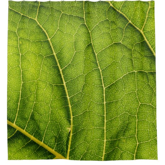 Groen blad douchegordijn (Voorkant)
