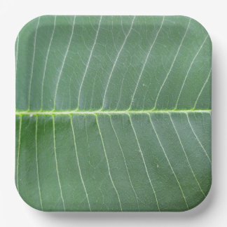 Groen blad en lichte witte lijn ontwerp 9" Vierkan Papieren Bordje
