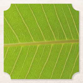 Groen blad en lichtgele lijn ontwerp kartonnen onderzetters