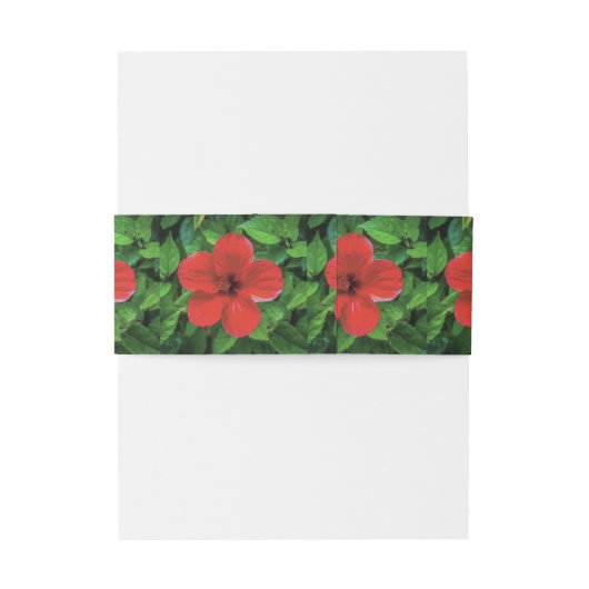 Groen blad en rode bloem uitnodigingen wikkel (Achterkant Voorbeeld)