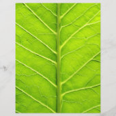 Groen blad flyer (Voorkant)