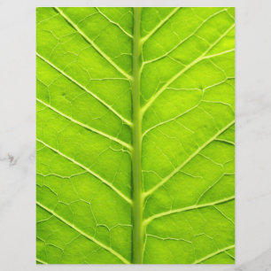 Groen blad flyer