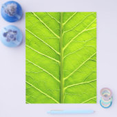 Groen blad flyer (Enkel)