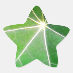 GROEN BLAD fris gezond cadeau Ster Sticker