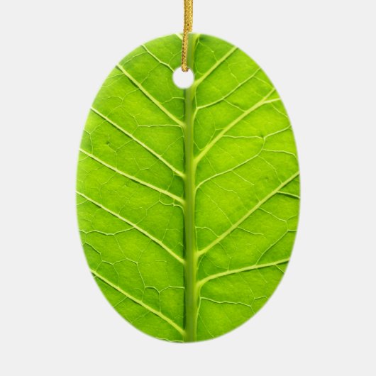 Groen blad keramisch ornament (Voorkant)