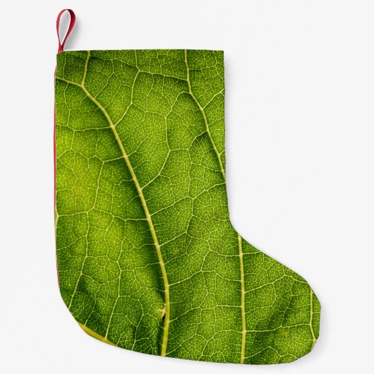 Groen blad kleine kerstsok (Voorkant)