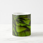 Groen blad koffiemok (Center)