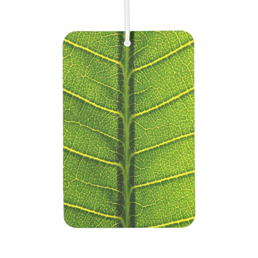 Groen blad luchtverfrisser (Voorkant)