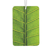 Groen blad luchtverfrisser (Achterkant)