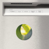 Groen blad magneet (Insitu (Vaatwasser))