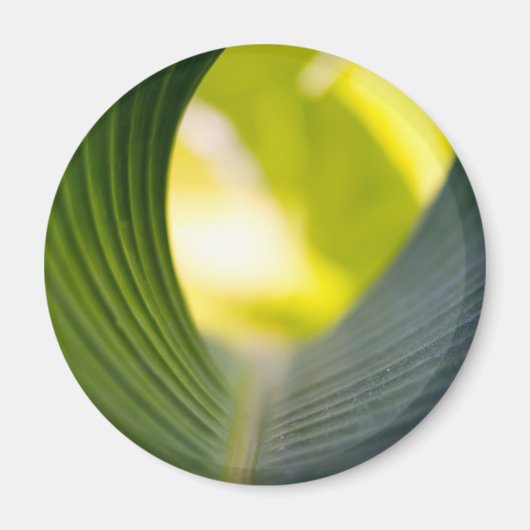 Groen blad magneet (Voorkant)