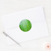Groen blad met druppels water ronde sticker (Envelop)