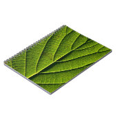 Groen blad notitieboek (Linkerzijde)