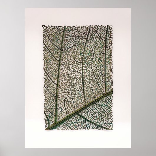 Groen blad poster (Voorkant)