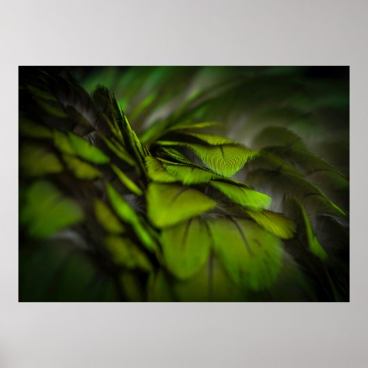 Groen blad poster (Voorkant)