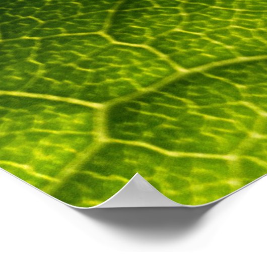Groen blad poster (Hoek)