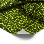 Groen blad poster (Hoek)