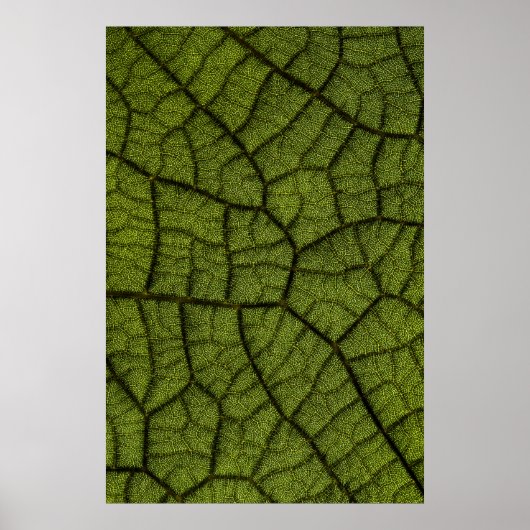 Groen blad poster (Voorkant)