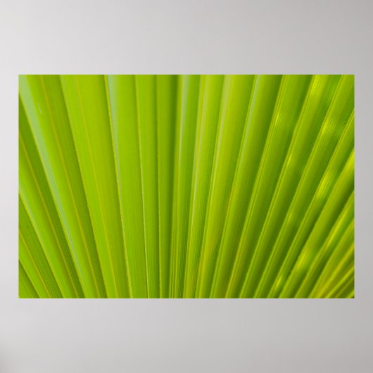 Groen blad poster (Voorkant)