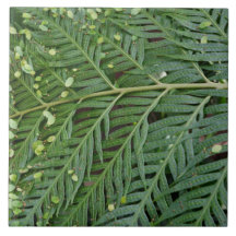 Groen blad